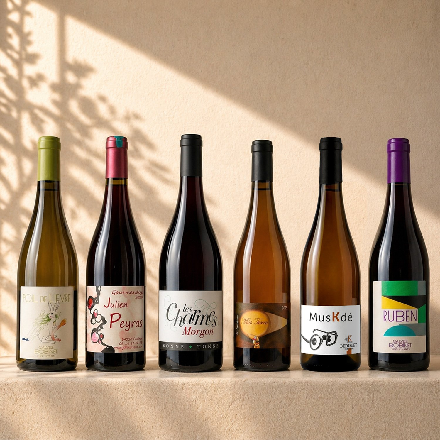 Casier 2 de vins naturels – sélection de 6 bouteilles pour une première exploration du vin vivant