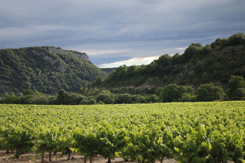 Parcelles du Raisin et l’Ange dans le paysage ardéchois