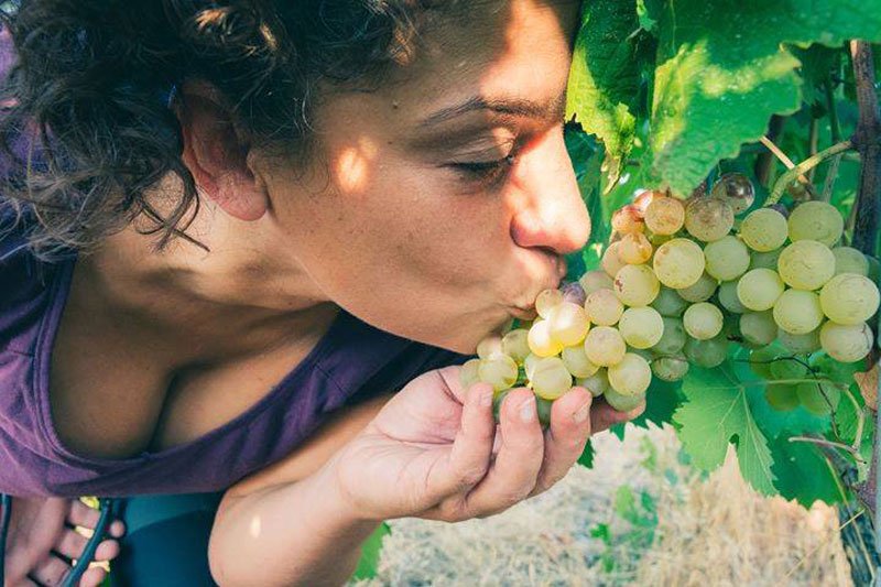 Sybille Baldassarre dans les vignes de La Graine Sauvage à Faugères